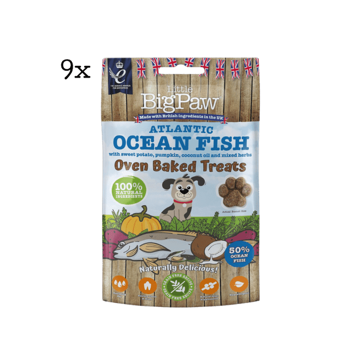 Little Big Paw Atlantic Ocean Fish Oven Baked Treats for Dogs