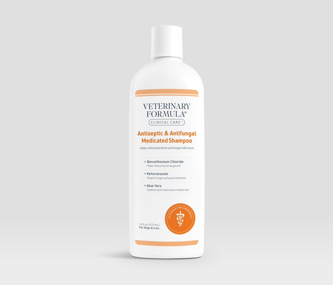 Veterinary Formula Antiseptic & Antifungal Medicated Shampoo